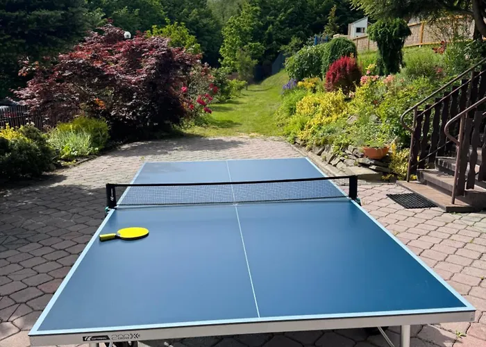 Villa Beskidzka 100 - Sauna Balia Basen Widok Na Gory I Jezioro Zarzecze (Silesia)